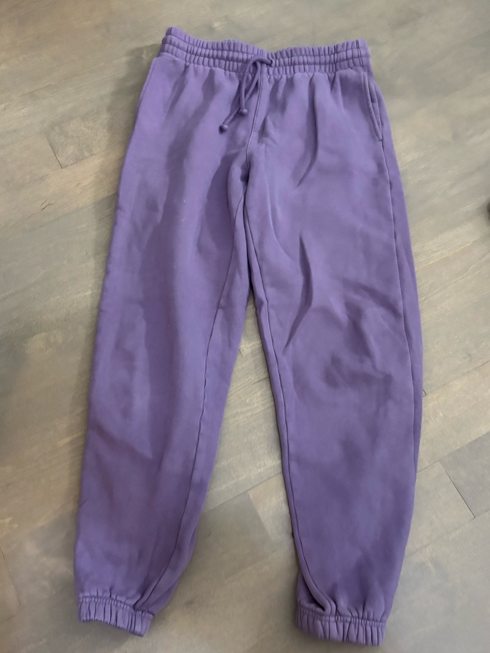 Aritzia purple Sweatpants